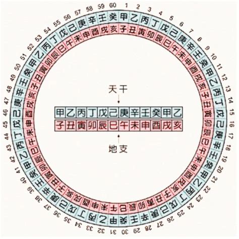 天干地支號碼|十天干十二地支